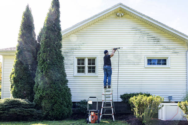 Best Fence Cleaning  in Susanville, CA